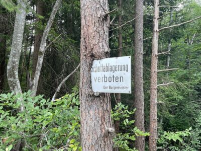 Infobaum